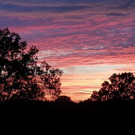 Apartment Maremonti Monopoli