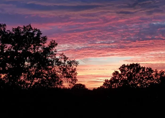 아파트 Maremonti 모노폴리